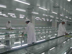 原來選擇化妝品oem代加工有如此多的優(yōu)勢